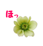 やさしい花のお返事スタンプ♪（個別スタンプ：9）
