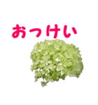 やさしい花のお返事スタンプ♪（個別スタンプ：10）