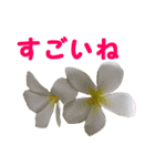 やさしい花のお返事スタンプ♪（個別スタンプ：11）