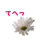 やさしい花のお返事スタンプ♪（個別スタンプ：12）
