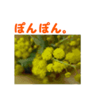 やさしい花のお返事スタンプ♪（個別スタンプ：13）
