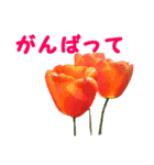 やさしい花のお返事スタンプ♪（個別スタンプ：14）
