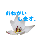 やさしい花のお返事スタンプ♪（個別スタンプ：18）