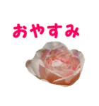 やさしい花のお返事スタンプ♪（個別スタンプ：20）