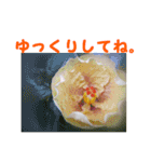 やさしい花のお返事スタンプ♪（個別スタンプ：22）