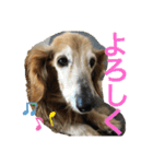 チョコとそら（個別スタンプ：27）