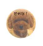 あとむたんぷ2（個別スタンプ：8）