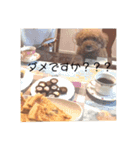 あとむたんぷ2（個別スタンプ：16）