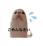 ぶらんちぃ（個別スタンプ：2）
