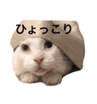 ぶらんちぃ（個別スタンプ：5）