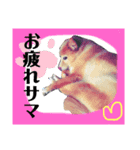 武田さん家2（個別スタンプ：1）