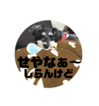 武田さん家2（個別スタンプ：6）