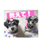 武田さん家2（個別スタンプ：7）