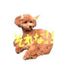ティナさんのスタンプ（個別スタンプ：3）