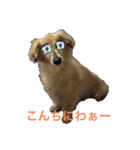 アッシュの日常生活(カニヘンダックス)①（個別スタンプ：4）