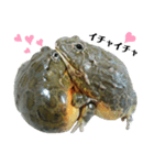 アフウシLove（個別スタンプ：1）