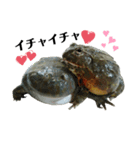 アフウシLove（個別スタンプ：3）