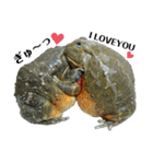 アフウシLove（個別スタンプ：6）