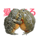 アフウシLove（個別スタンプ：7）