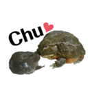 アフウシLove（個別スタンプ：9）