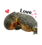 アフウシLove（個別スタンプ：10）