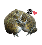 アフウシLove（個別スタンプ：11）