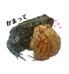 アフウシLove（個別スタンプ：13）