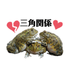 アフウシLove（個別スタンプ：16）