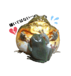 アフウシLove（個別スタンプ：17）