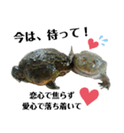 アフウシLove（個別スタンプ：24）