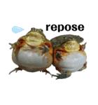 アフウシLove（個別スタンプ：40）
