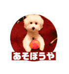 白玉毛玉のぷむ太郎（個別スタンプ：4）