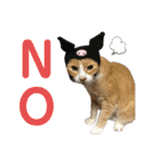 とらじろう〜ときどきモコ〜（個別スタンプ：2）