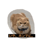 我が家のペット斉藤さん（個別スタンプ：2）