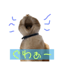 我が家のペット斉藤さん（個別スタンプ：4）