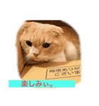 我が家のペット斉藤さん（個別スタンプ：5）
