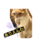 我が家のペット斉藤さん（個別スタンプ：6）