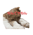 我が家のペット斉藤さん（個別スタンプ：10）