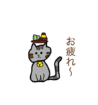 猫のスタンプ・（個別スタンプ：5）