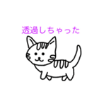 猫のスタンプ・（個別スタンプ：10）
