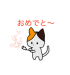 猫のスタンプ・（個別スタンプ：13）