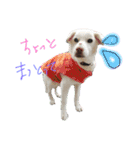 riri's normal life（個別スタンプ：2）