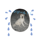 riri's normal life（個別スタンプ：9）