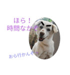 riri's normal life（個別スタンプ：11）