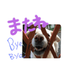 riri's normal life（個別スタンプ：18）