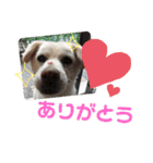 riri's normal life（個別スタンプ：23）