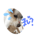 riri's normal life（個別スタンプ：25）