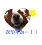 riri's normal life（個別スタンプ：26）