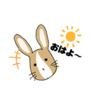 イラストうさぎの若（個別スタンプ：1）