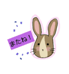 イラストうさぎの若（個別スタンプ：3）